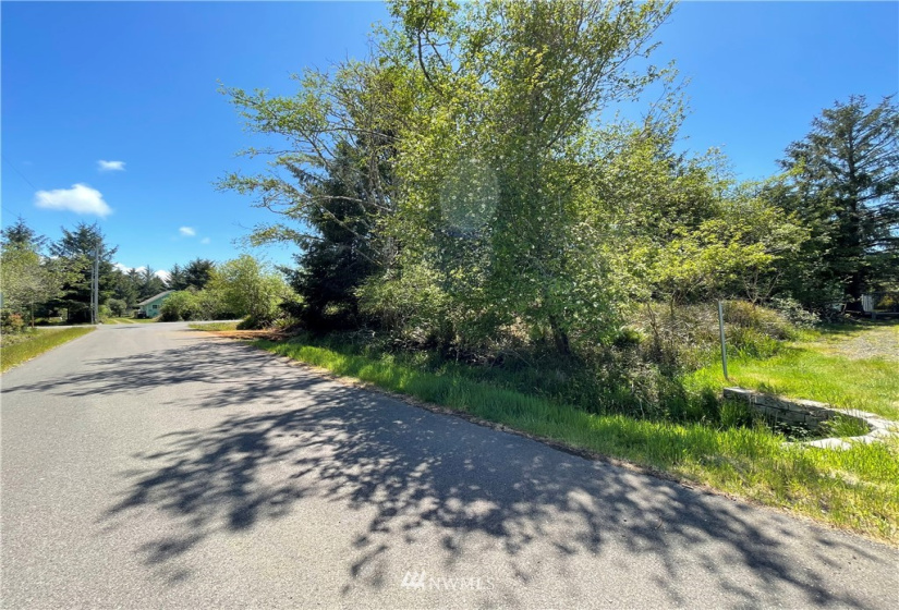 132 Cloquallum, Ocean Shores, Washington 98569, ,Land,For Sale,9,Cloquallum,NWM1780562