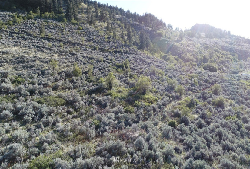 111 Eagles Bluff, Oroville, Washington 98844, ,Land,For Sale,Eagles Bluff,NWM1780426