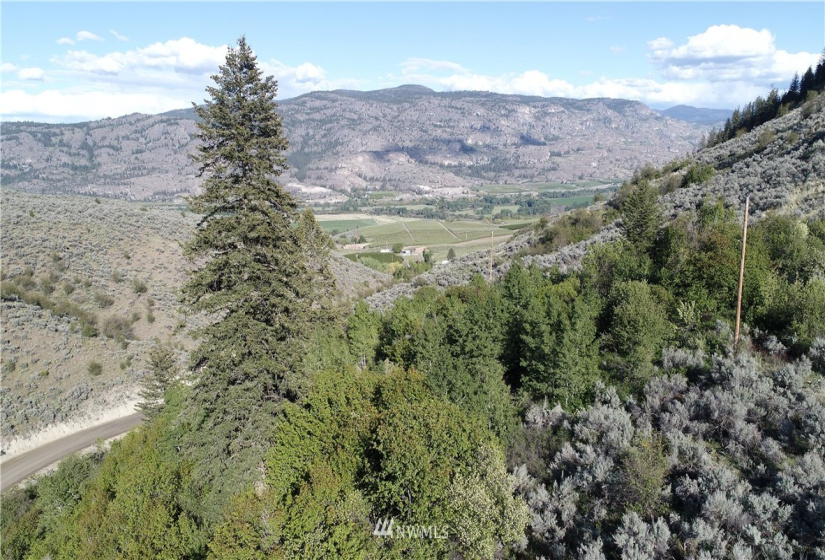 111 Eagles Bluff, Oroville, Washington 98844, ,Land,For Sale,Eagles Bluff,NWM1780426