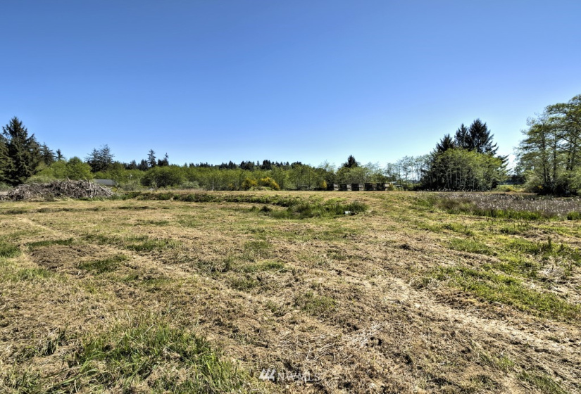 1721 Harrison, Aberdeen, Washington 98520, ,Land,For Sale,Harrison,NWM1774397