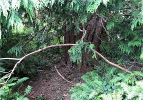 0 Euclid, Aberdeen, Washington 98520, ,Land,For Sale,Ocosta 1st,Euclid,NWM1780421