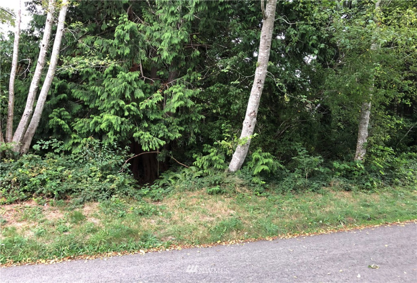 0 Euclid, Aberdeen, Washington 98520, ,Land,For Sale,Ocosta 1st,Euclid,NWM1780421
