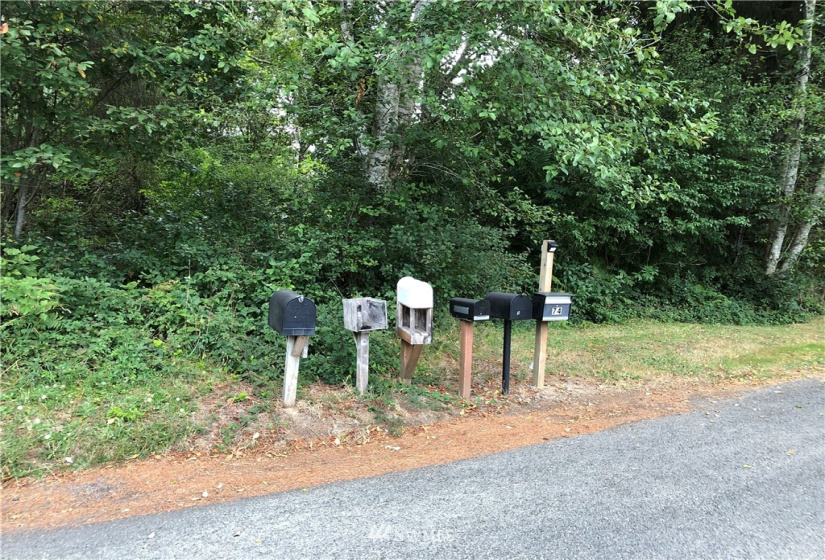 0 Euclid, Aberdeen, Washington 98520, ,Land,For Sale,Ocosta 1st,Euclid,NWM1780421