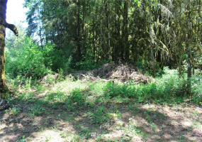 259 Avery, Winlock, Washington 98596, ,Land,For Sale,Avery,NWM1781251