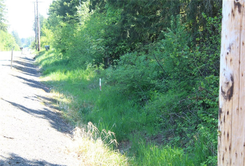 259 Avery, Winlock, Washington 98596, ,Land,For Sale,Avery,NWM1781251
