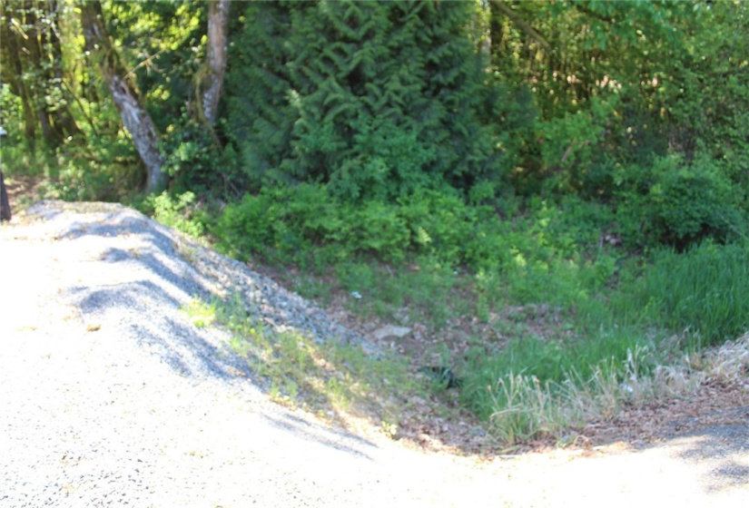 259 Avery, Winlock, Washington 98596, ,Land,For Sale,Avery,NWM1781251