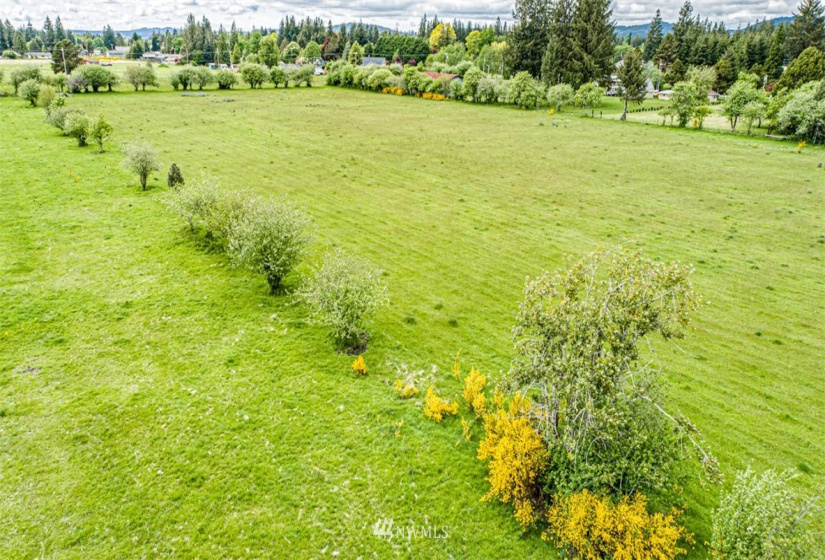 9999 Fifth, Forks, Washington 98331, ,Land,For Sale,Mansfield Addition,Fifth,NWM1782683