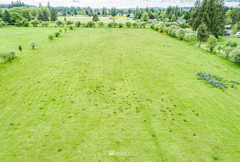 9999 Fifth, Forks, Washington 98331, ,Land,For Sale,Mansfield Addition,Fifth,NWM1782683