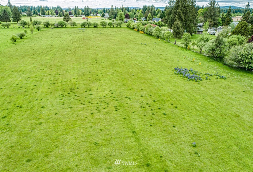 9999 Fifth, Forks, Washington 98331, ,Land,For Sale,Mansfield Addition,Fifth,NWM1782683