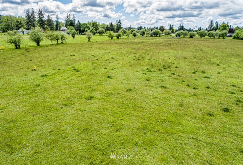 9999 Fifth, Forks, Washington 98331, ,Land,For Sale,Mansfield Addition,Fifth,NWM1782683