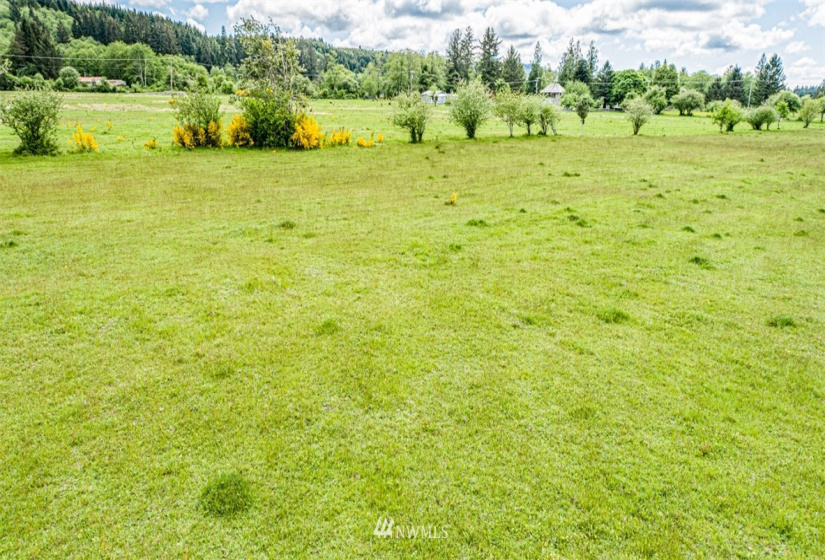 9999 Fifth, Forks, Washington 98331, ,Land,For Sale,Mansfield Addition,Fifth,NWM1782683