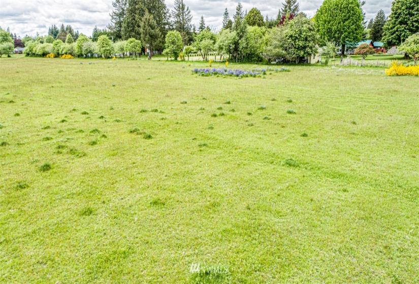 9999 Fifth, Forks, Washington 98331, ,Land,For Sale,Mansfield Addition,Fifth,NWM1782683