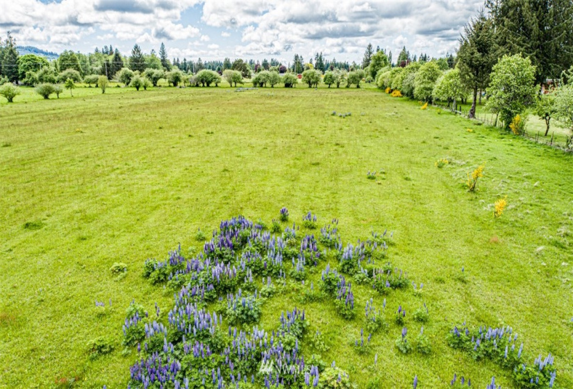 9999 Fifth, Forks, Washington 98331, ,Land,For Sale,Mansfield Addition,Fifth,NWM1782683