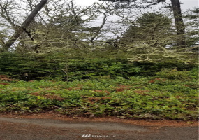 0 VERNON, Ocean Park, Washington 98640, ,Land,For Sale,VERNON,NWM1782111