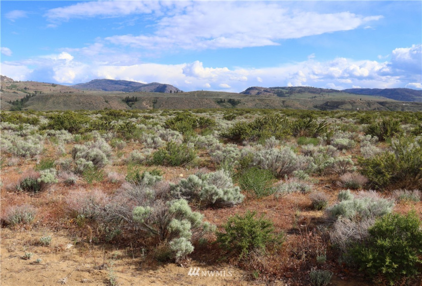 145 Engh, Omak, Washington 98841, ,Land,For Sale,Engh,NWM1779353