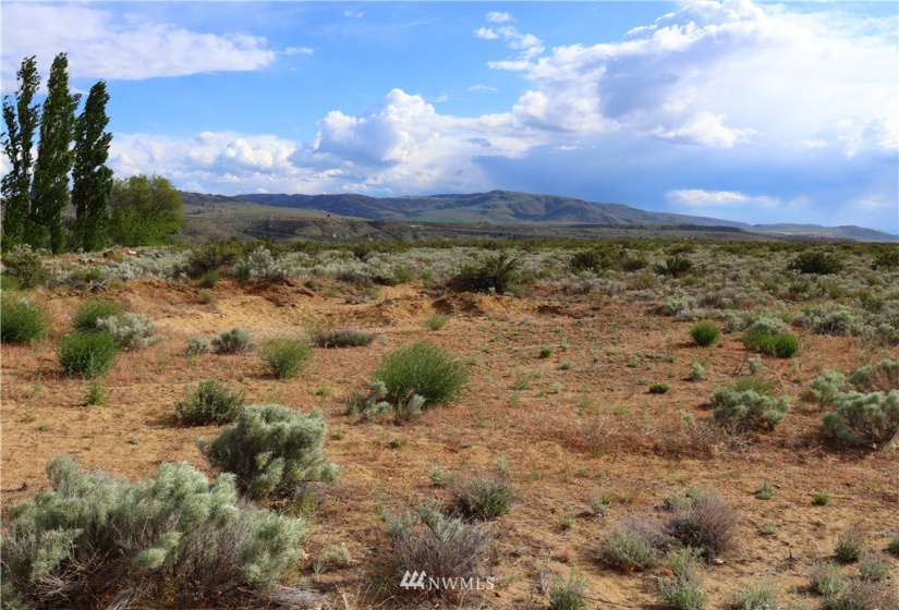 145 Engh, Omak, Washington 98841, ,Land,For Sale,Engh,NWM1779353