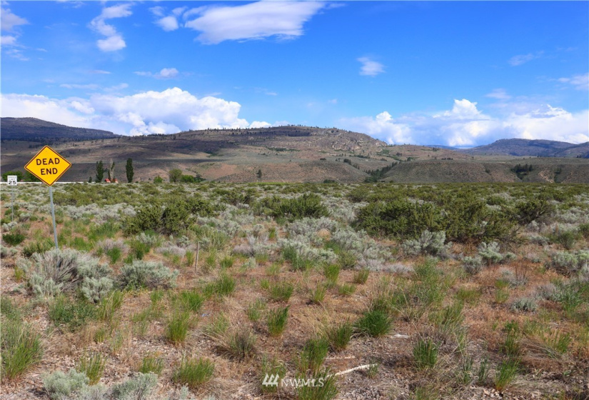 145 Engh, Omak, Washington 98841, ,Land,For Sale,Engh,NWM1779353