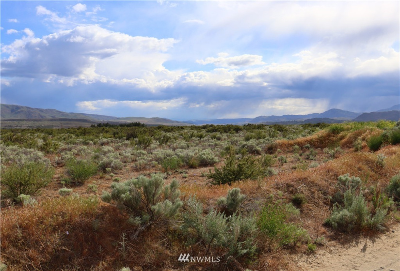 145 Engh, Omak, Washington 98841, ,Land,For Sale,Engh,NWM1779353