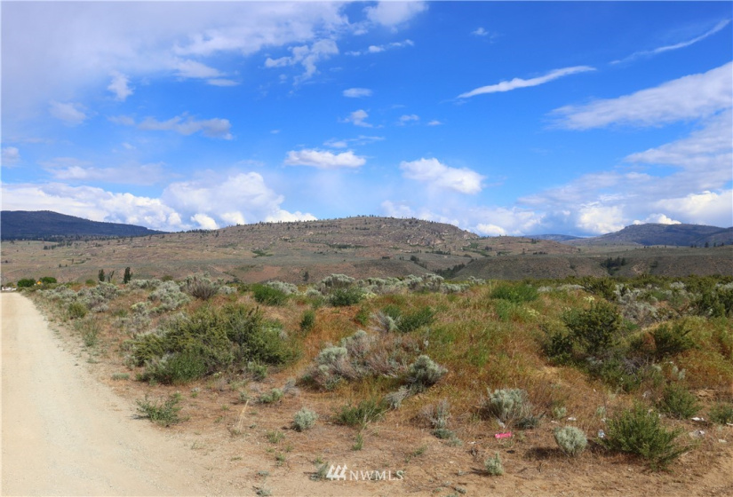 145 Engh, Omak, Washington 98841, ,Land,For Sale,Engh,NWM1779353