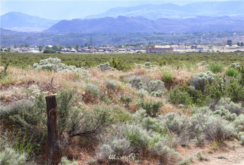 145 Engh, Omak, Washington 98841, ,Land,For Sale,Engh,NWM1779353