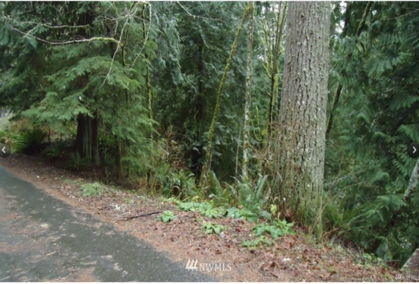 12 Wintercress, Bellingham, Washington 98229, ,Land,For Sale,Sudden Valley Division 27,Wintercress,NWM1783831