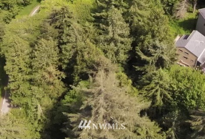 12 Wintercress, Bellingham, Washington 98229, ,Land,For Sale,Sudden Valley Division 27,Wintercress,NWM1783831