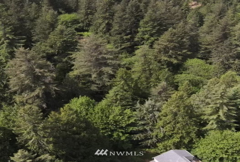 12 Wintercress, Bellingham, Washington 98229, ,Land,For Sale,Sudden Valley Division 27,Wintercress,NWM1783831