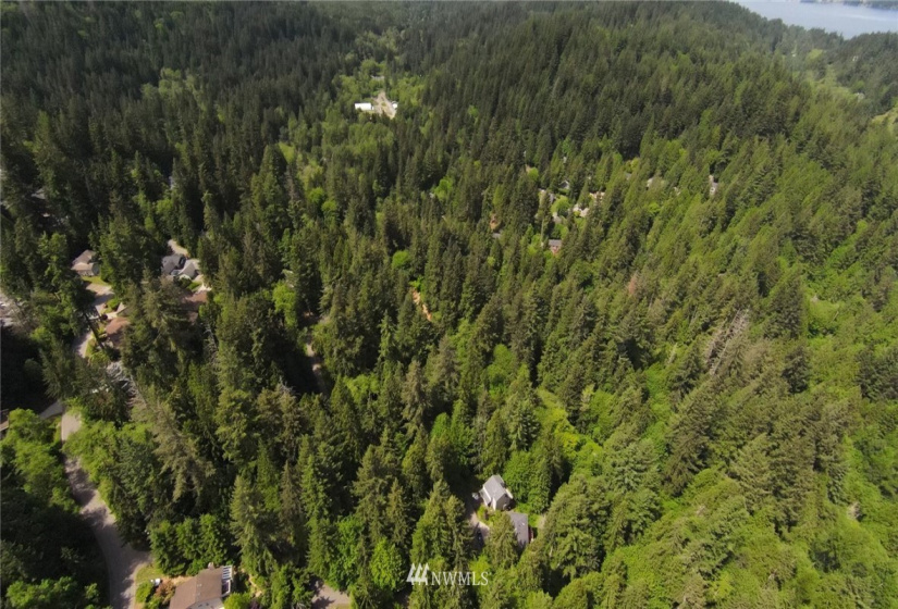 12 Wintercress, Bellingham, Washington 98229, ,Land,For Sale,Sudden Valley Division 27,Wintercress,NWM1783831