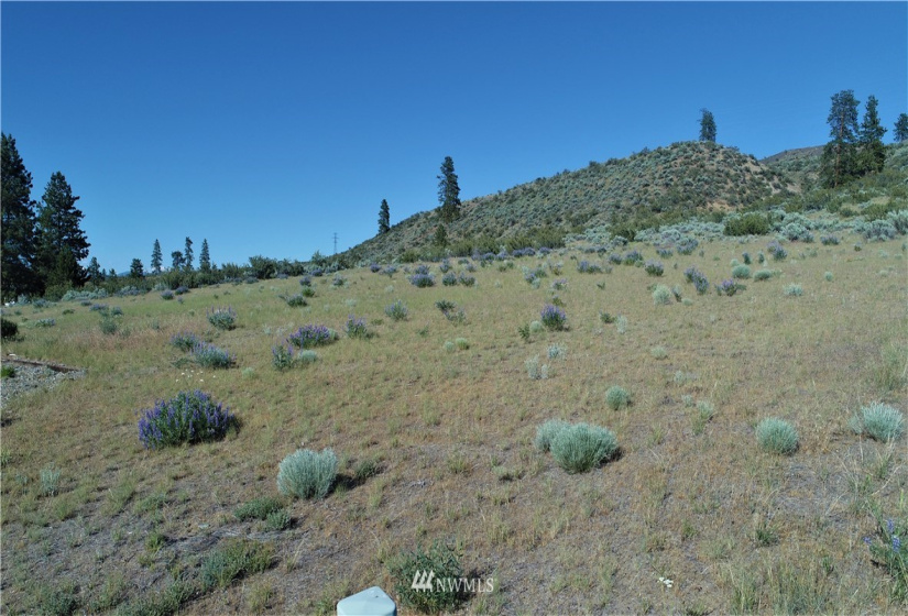 114 D Crumbacher, Tonasket, Washington 98855, ,Land,For Sale,Crumbacher,NWM1783960