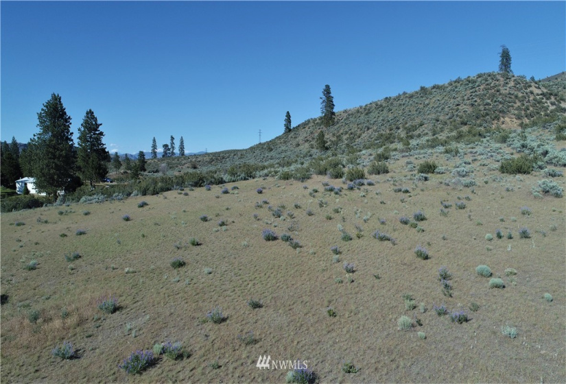 114 D Crumbacher, Tonasket, Washington 98855, ,Land,For Sale,Crumbacher,NWM1783960