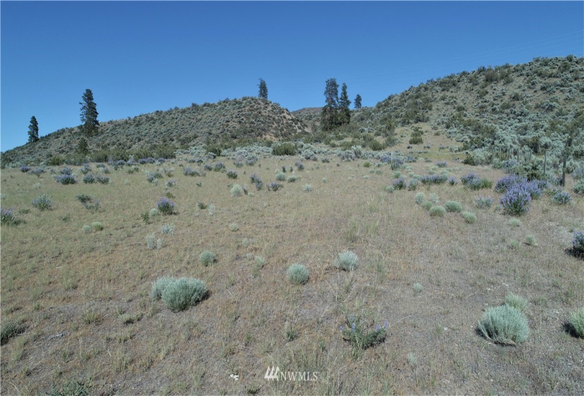 114 D Crumbacher, Tonasket, Washington 98855, ,Land,For Sale,Crumbacher,NWM1783960