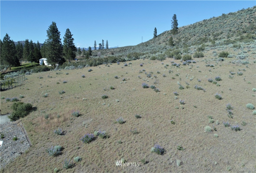 114 D Crumbacher, Tonasket, Washington 98855, ,Land,For Sale,Crumbacher,NWM1783960