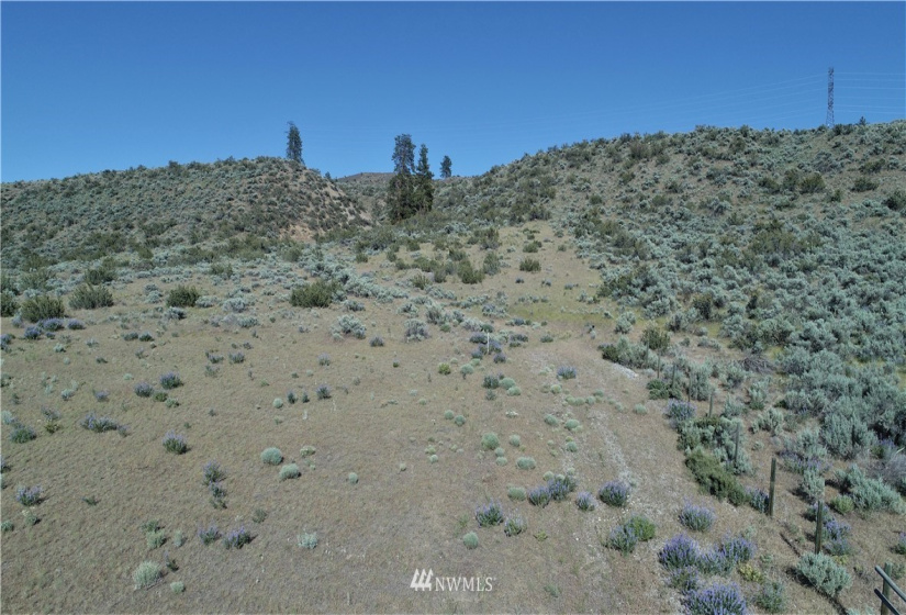 114 D Crumbacher, Tonasket, Washington 98855, ,Land,For Sale,Crumbacher,NWM1783960