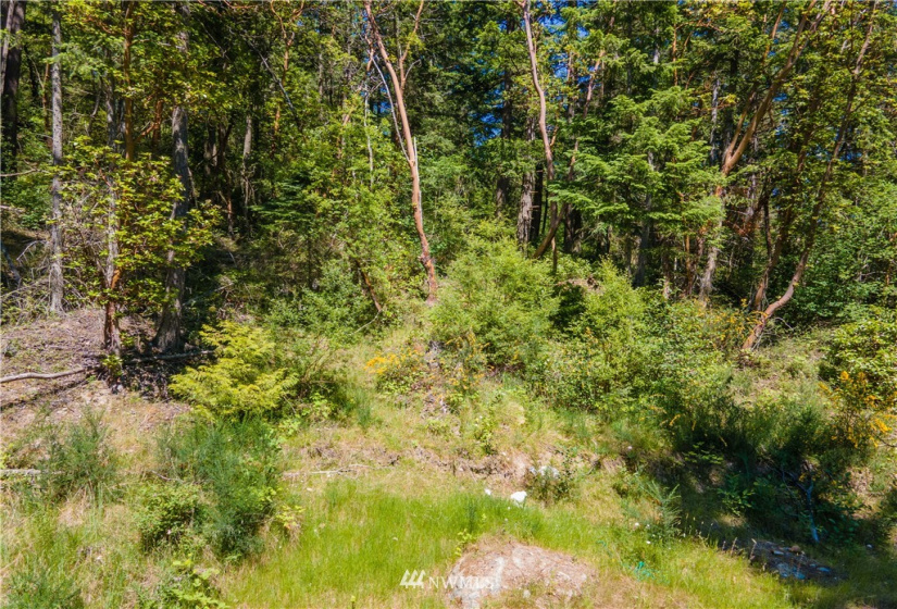 0 Campbell Lake, Anacortes, Washington 98221, ,Land,For Sale,Campbell Lake,NWM1785283