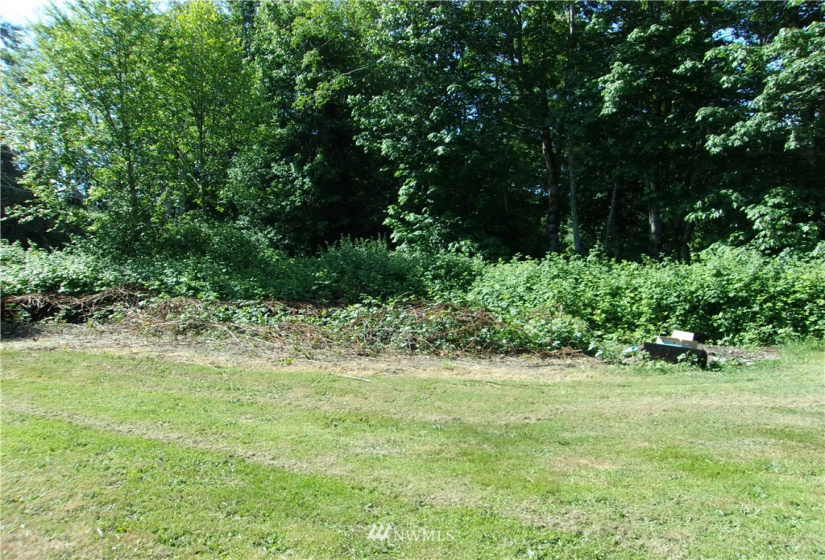 152 Easy, Brinnon, Washington 98320, ,Land,For Sale,Carroll's Hood Canal View Estates No. 1,Easy,NWM1786448