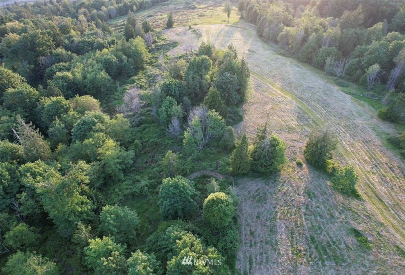 0 Grimm Rd, Kelso, Washington 98626, ,Land,For Sale,Grimm Rd,NWM1785231