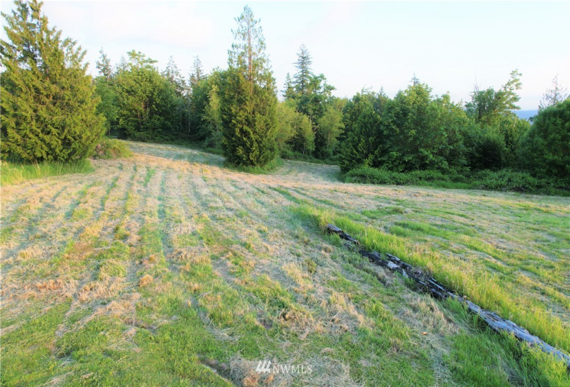 0 Grimm Rd, Kelso, Washington 98626, ,Land,For Sale,Grimm Rd,NWM1785231