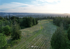 0 Grimm Rd, Kelso, Washington 98626, ,Land,For Sale,Grimm Rd,NWM1785231