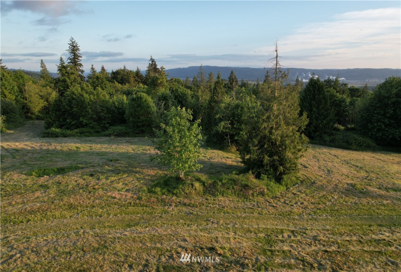 0 Grimm Rd, Kelso, Washington 98626, ,Land,For Sale,Grimm Rd,NWM1785231
