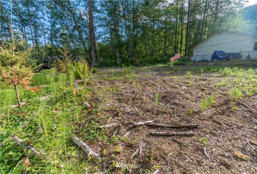 3041 Pine, Sedro Woolley, Washington 98284, ,Land,For Sale,Glenhaven Lakes,Pine,NWM1786966