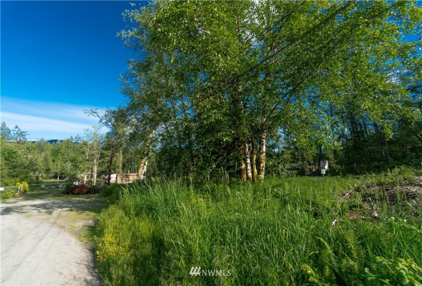 3041 Pine, Sedro Woolley, Washington 98284, ,Land,For Sale,Glenhaven Lakes,Pine,NWM1786966
