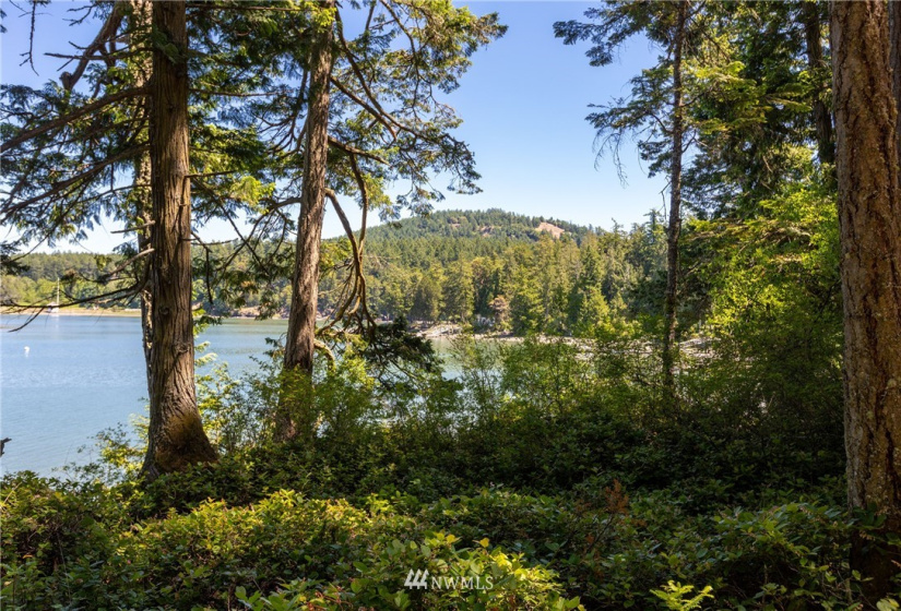 408 Heron, San Juan Island, Washington 98250, 2 Bedrooms Bedrooms, ,1 BathroomBathrooms,Residential,For Sale,Yacht Haven 1st Add,Heron,NWM1787607