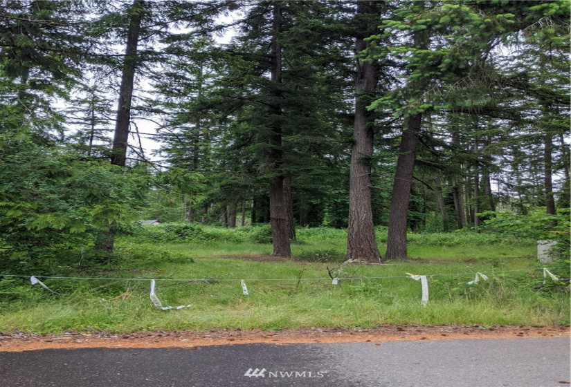 22822 230th, Maple Valley, Washington 98038, ,Land,For Sale,230th,NWM1790645