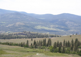 111 One Skyview, Tonasket, Washington 98855, ,Land,For Sale,One Skyview,NWM1792092