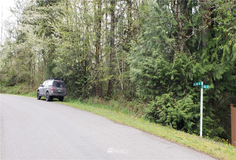 252 XX 356th, Auburn, Washington 98092, ,Land,For Sale,356th,NWM1591699