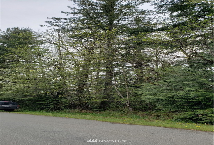 252 XX 356th, Auburn, Washington 98092, ,Land,For Sale,356th,NWM1591699