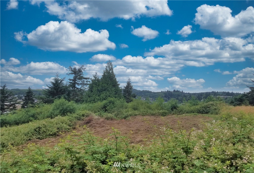 201 Beacon Hill, Hoquiam, Washington 98550, ,Land,For Sale,BEACON HILL PARK,Beacon Hill,NWM1802371