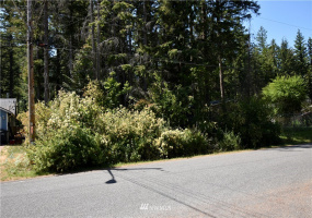 8591 Golden Valley, Maple Falls, Washington 98266, ,Land,For Sale,Golden Valley,NWM1803224