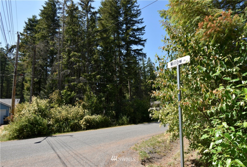 8591 Golden Valley, Maple Falls, Washington 98266, ,Land,For Sale,Golden Valley,NWM1803224