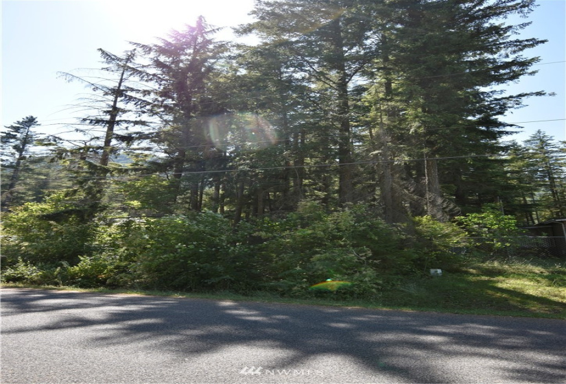 8591 Golden Valley, Maple Falls, Washington 98266, ,Land,For Sale,Golden Valley,NWM1803224